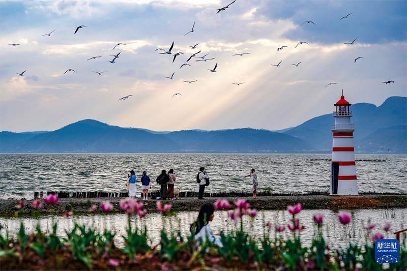 Көктем құшағындағы Дяньчи көлі туристерді өзіне тартты