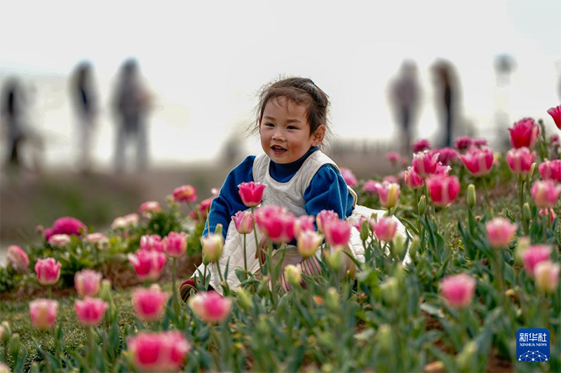 Көктем құшағындағы Дяньчи көлі туристерді өзіне тартты