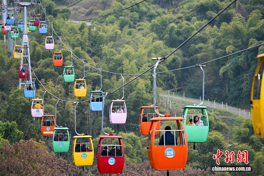 Чунцин: Аспалы көлік жолымен тауға шығу көктемгі саяхаттың жаңа тәжірибесіне айналды