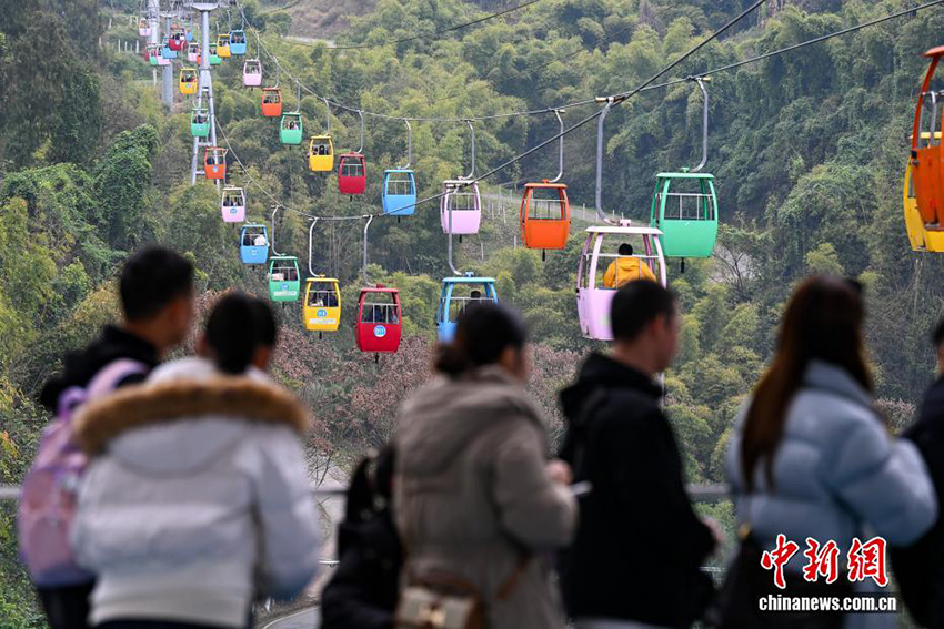 Чунцин: Аспалы көлік жолымен тауға шығу көктемгі саяхаттың жаңа тәжірибесіне айналды