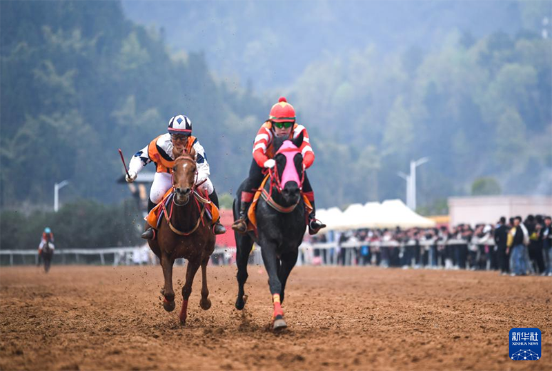 Гуйчжоу «Ауыл жылқысы» байқауында әйел шабандоздар бәйгеге қатысты