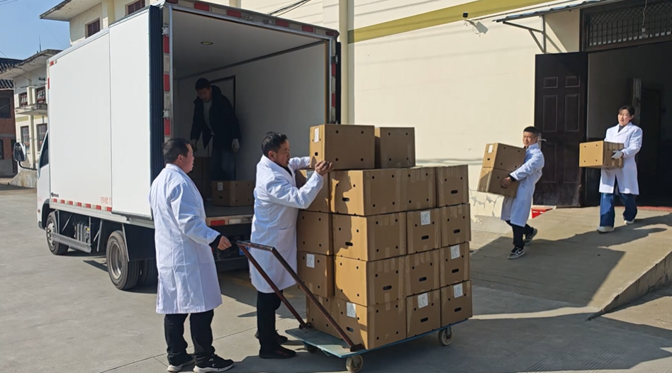 Аньканнан Орталық Азияға шамамен 70 000 жібек құрты жұмыртқасы экспортталды