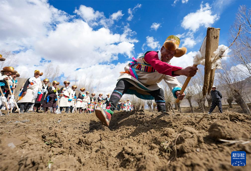 Сицзанның егін аймақтарында көктемгі егіс мейрамы атап өтілді