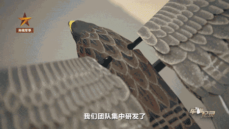 Қытайлық ғылыми-зерттеу тобы бионикалық қанат қаққыш дрон жасап шығарды