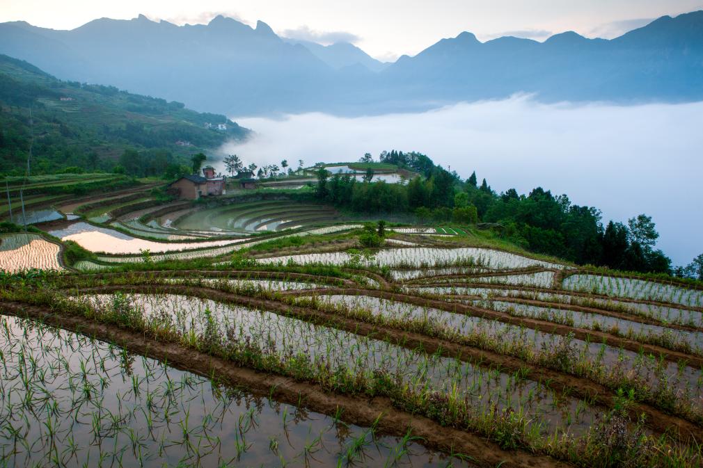 Ежелгі сатылы егістіктердің жаңа дәуірдегі жаңаша мәні