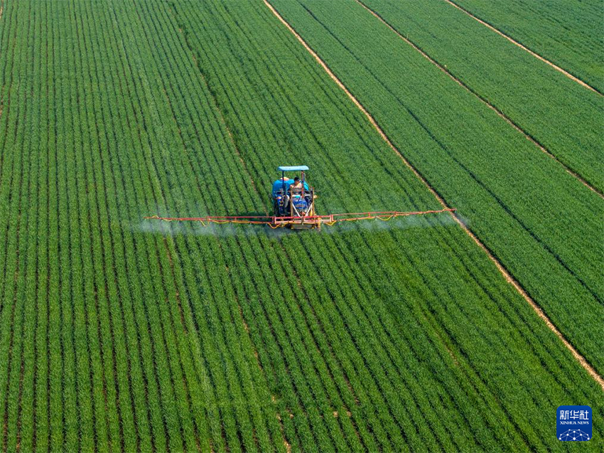 Көктем самалы және егін науқаны