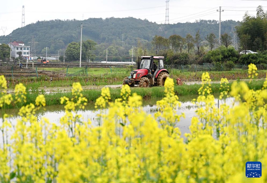 Көктем самалы және егін науқаны