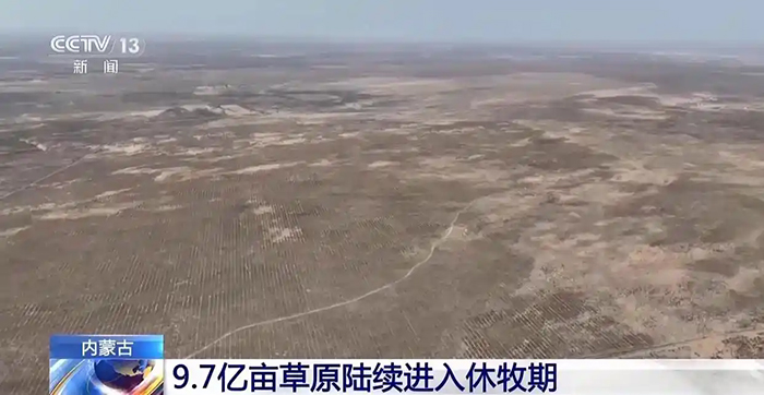 Ішкі Моңғолдағы 64,67 миллион гектар жайылым көктемгі тынығу кезеңіне көшті