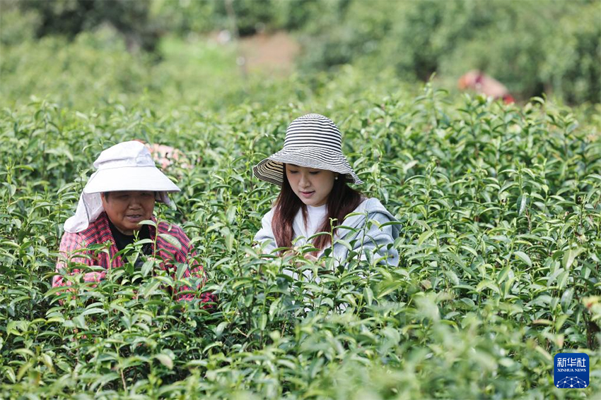 «Көктем самалы» атты батпырауықтар фестивалі ауылдық жерлердегі көктемгі туризм мен мәдениетті дамытуға көмектесті