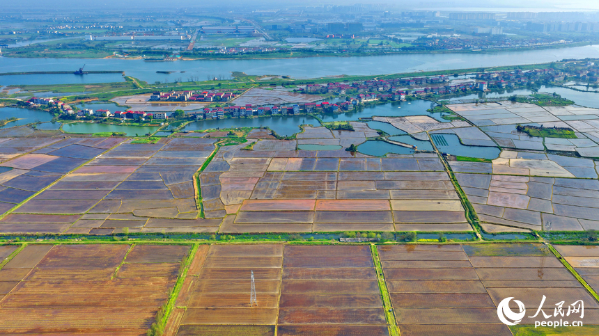 Цзянси, Наньчан: Көктемгі егіс қызу жүріп жатыр