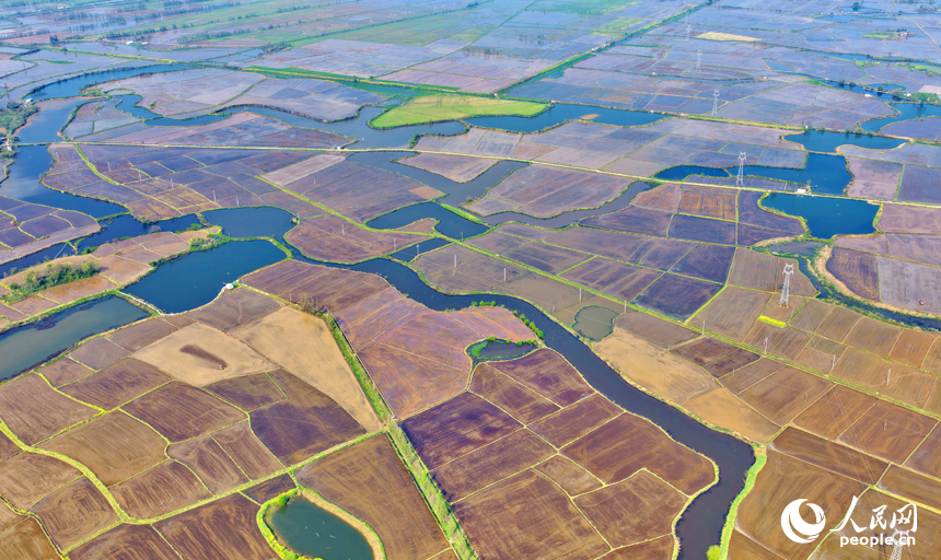 Цзянси, Наньчан: Көктемгі егіс қызу жүріп жатыр