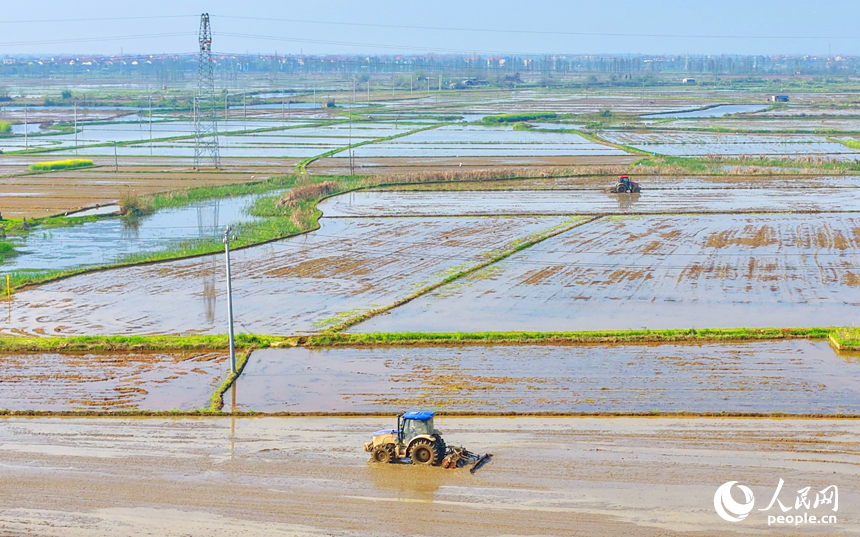 Цзянси, Наньчан: Көктемгі егіс қызу жүріп жатыр