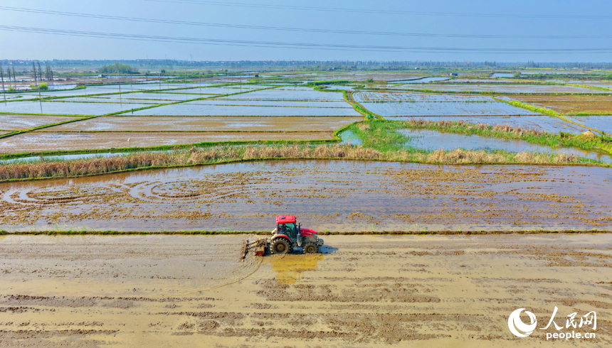 Цзянси, Наньчан: Көктемгі егіс қызу жүріп жатыр