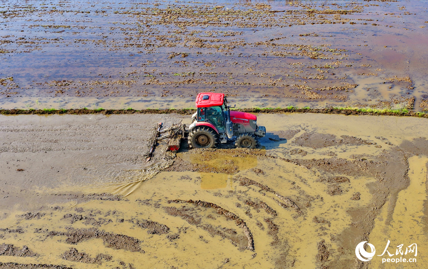 Цзянси, Наньчан: Көктемгі егіс қызу жүріп жатыр