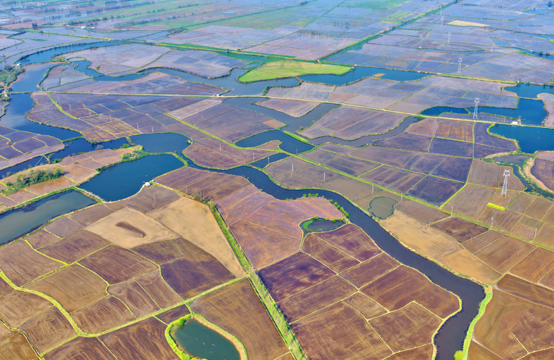 Цзянси, Наньчан: Көктемгі егіс қызу жүріп жатыр