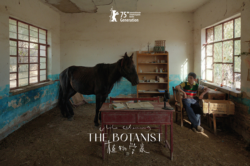 Қазақ баласының өсуі мен табиғаттың көркемдігін суреттейтін тамаша фильм жақында көрсетілімге шығады