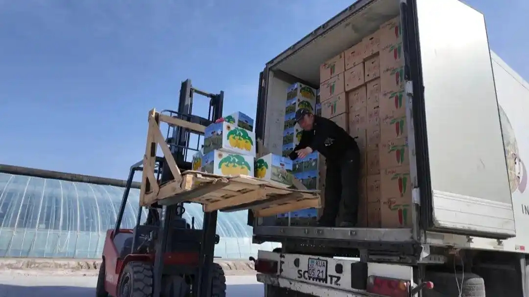 Қытай көкөністері Алматыға небәрі 12 сағатта барды