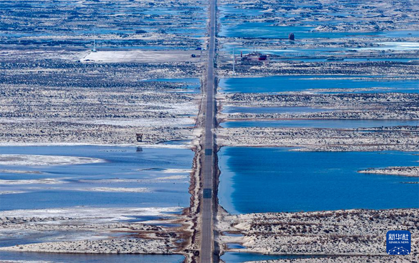 Шыңжаңның Алтай аймағы: «Өмір ұясы» іс-шарасы жыл құсын, сулы-батпақты жерлердің экологиясын, электр желілерінің қауіпсіздігін қорғайды