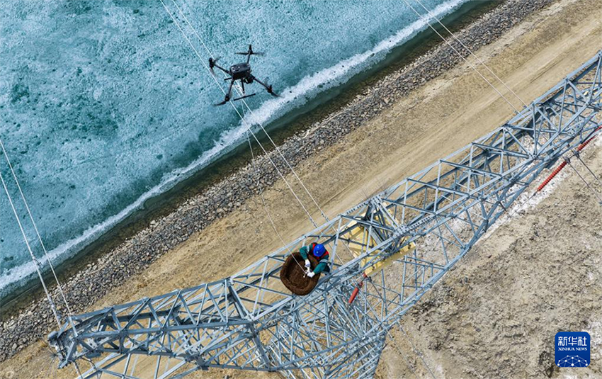 Шыңжаңның Алтай аймағы: «Өмір ұясы» іс-шарасы жыл құсын, сулы-батпақты жерлердің экологиясын, электр желілерінің қауіпсіздігін қорғайды