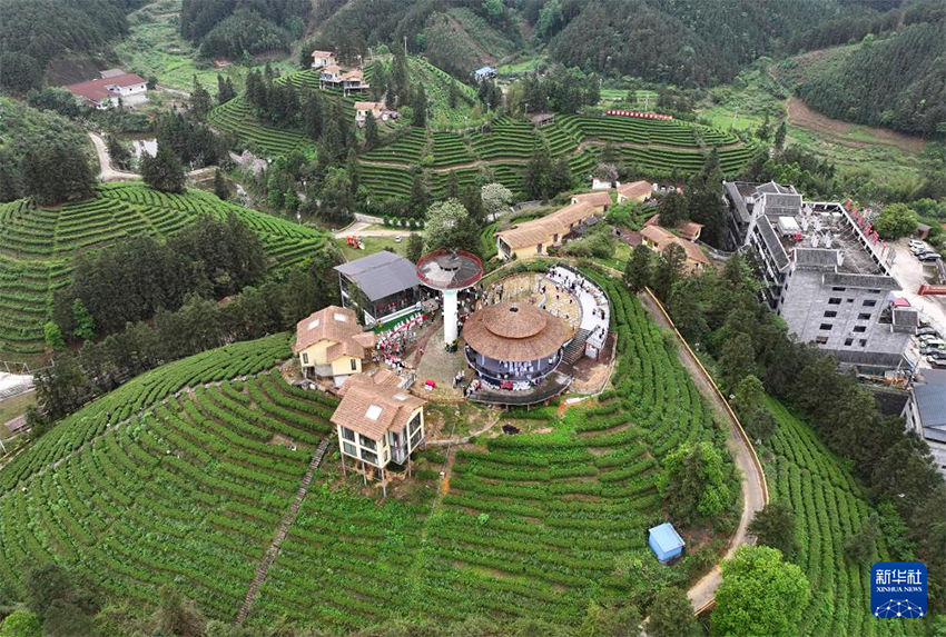 Көктемгі серуен және шай туризмінің мәдени іс-шарасы