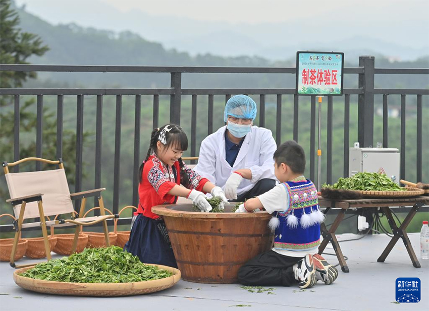 Көктемгі серуен және шай туризмінің мәдени іс-шарасы