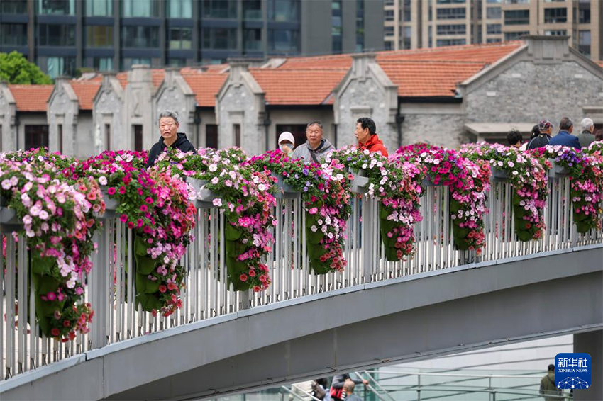 2026 жылғы Шанхай халықаралық гүл фестивалі ашылды