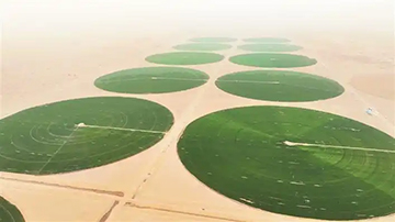 Технологияның арқасында Такламакан шөлі көгалданып жатыр