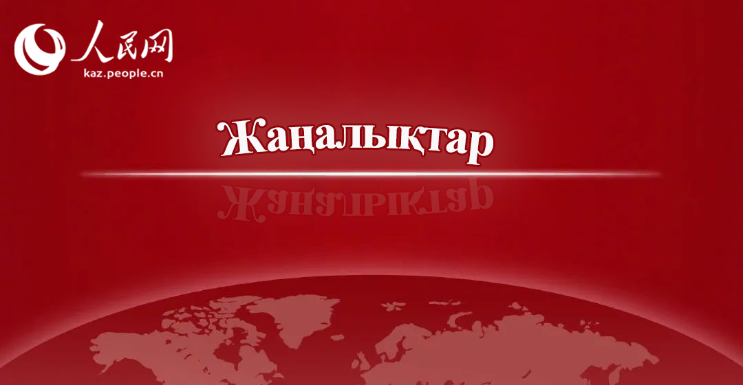 Шыңжаң шекарааралық электрондық коммерцияның қоғамдық қызмет көрсету платформасын іске қосты