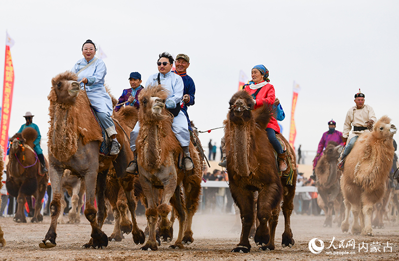 Ішкі Моңғұлдың Эзнээ өңірінде түйе және ат бәйгесі өтті
