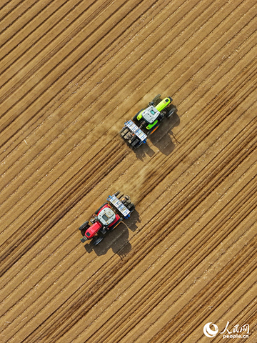 Цзилинь: Көктем шуағы және құнарлы дала — егіннің жаңа келбеті