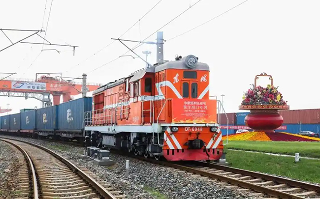 Шэньсидің тауарлық рапс тұқымдары алғаш рет Орталық Азияға шығарылды