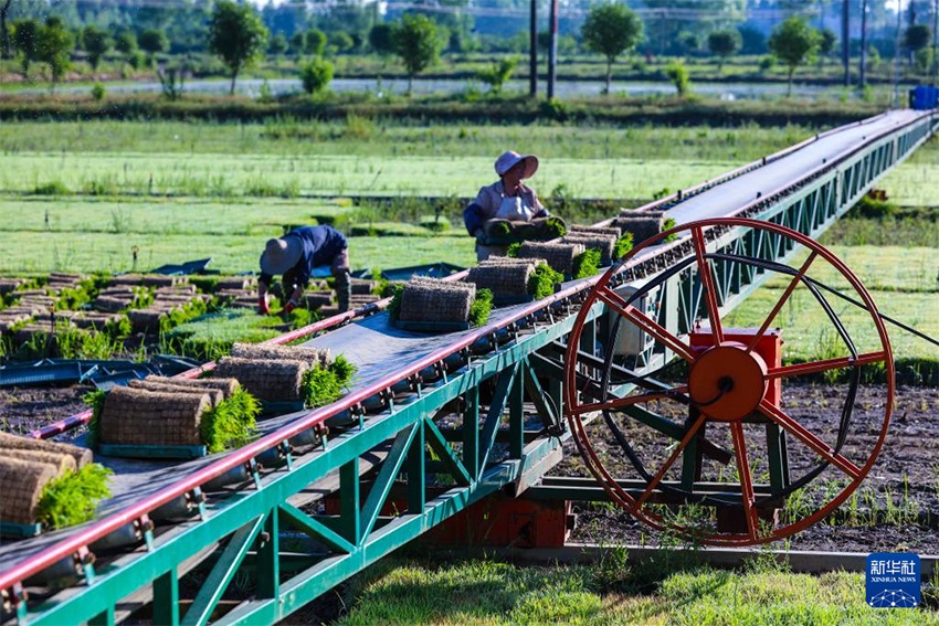 Жаз басы – ауыл шаруашылығы қарқынды жүріп жатыр