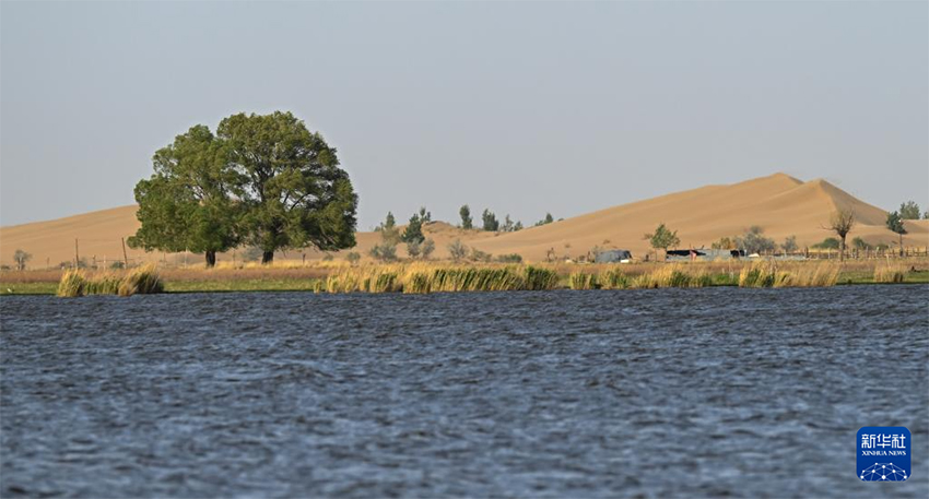 Хөвч шөлінің жазғы көрінісі