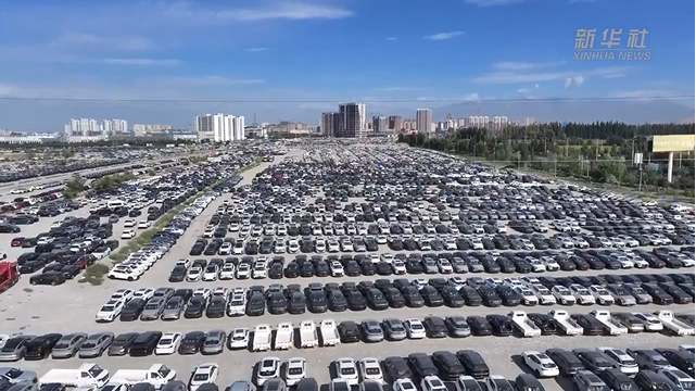 Алғашқы 8 айда Қорғас порты арқылы автокөлік экспорты 33,3%-ға өсті